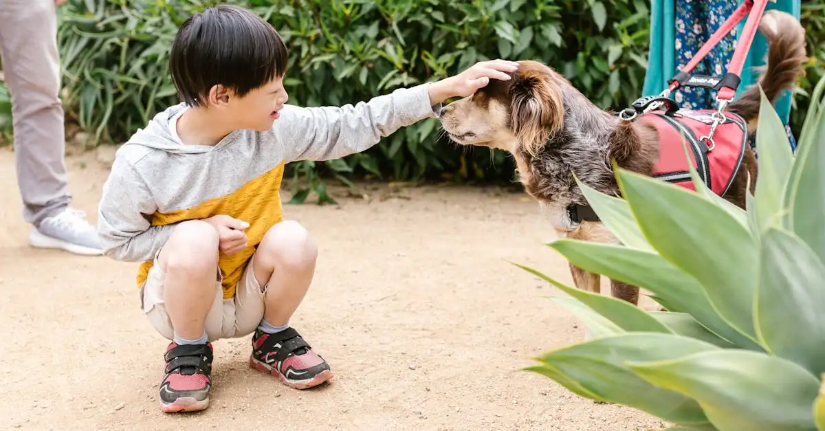 Adhd autisme